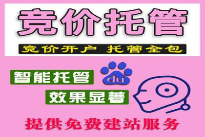 深度解析百度推广代运营公司的成功策略与技巧